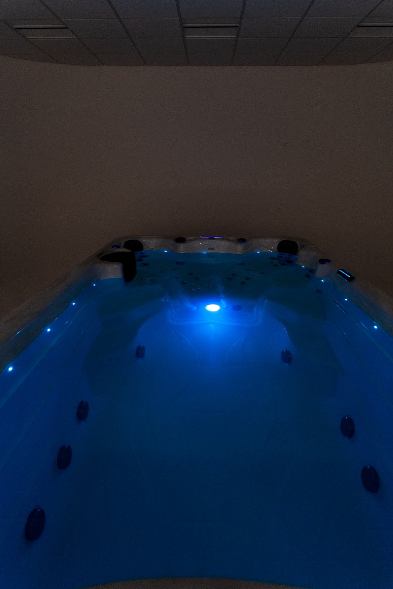 WithinWellness Apex Swim | 4-Person Compact Swim Spa