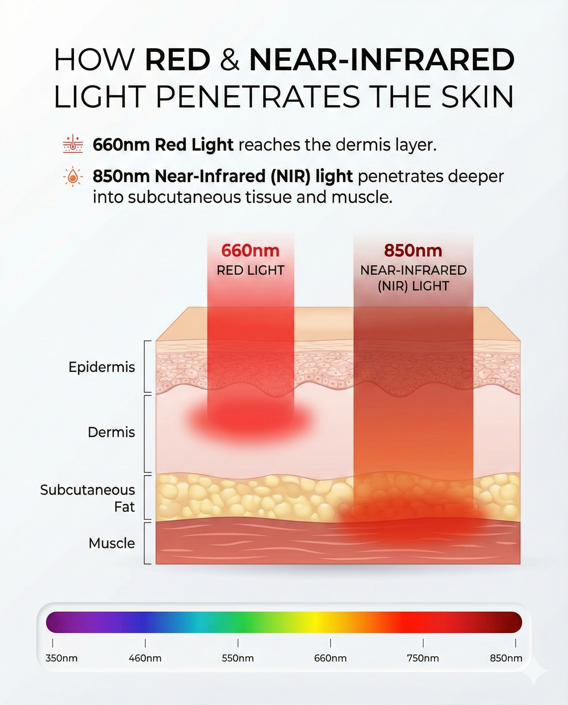 Lumina Travel Portable Red Light Therapy