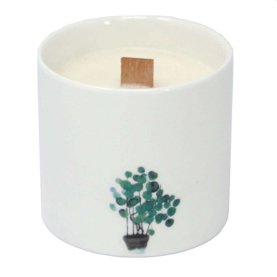 Jasmine soy wax candle