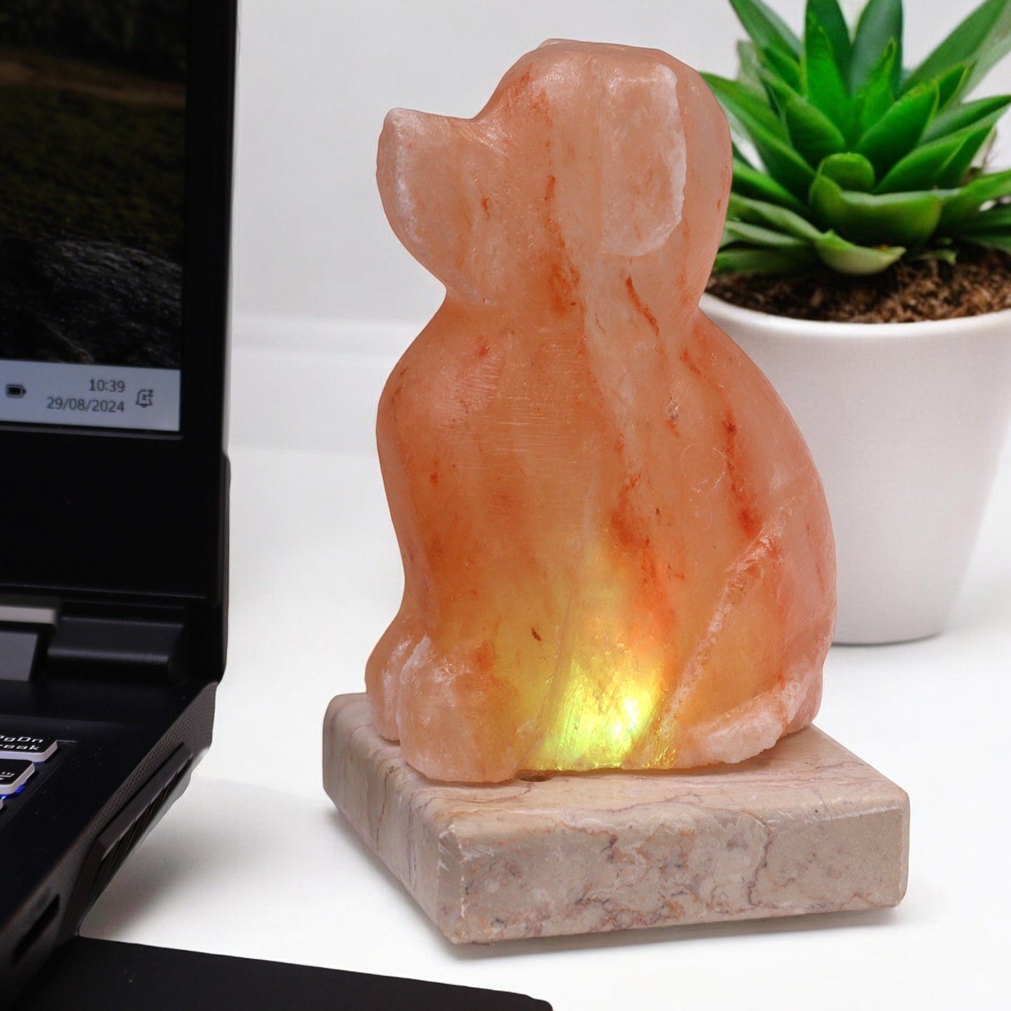 USB Dog Shaped (Multi) glowing amber on bedside table