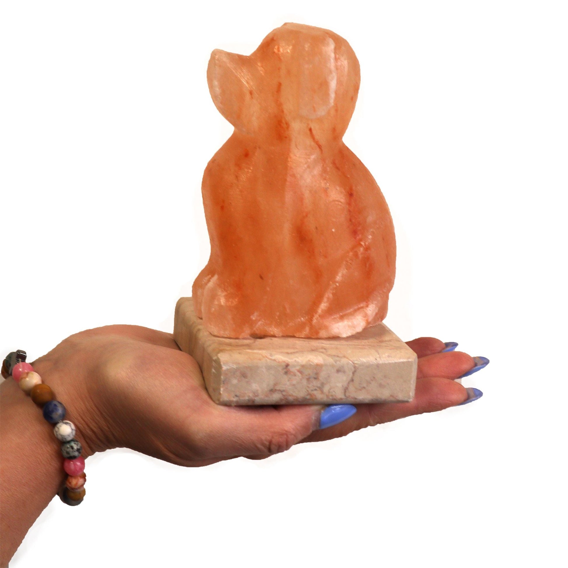 Himalayan Salt Lamp – Dog