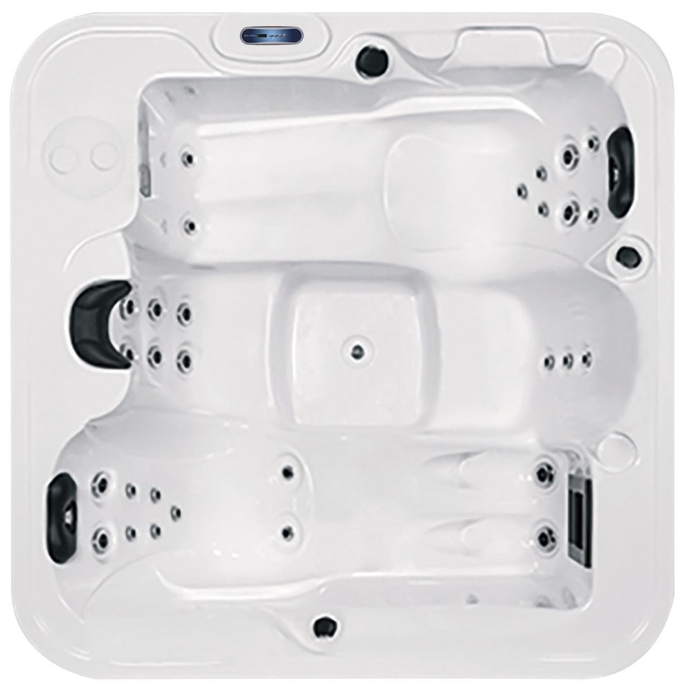 WithinWellness Bliss 4 | 4-Person Family Plug & Play Hot Tub