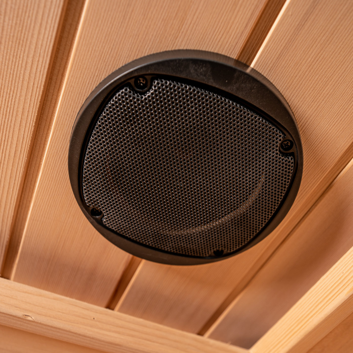 Ceiling speaker inside Within Wellness Select Retreat infrared sauna (SRA200).